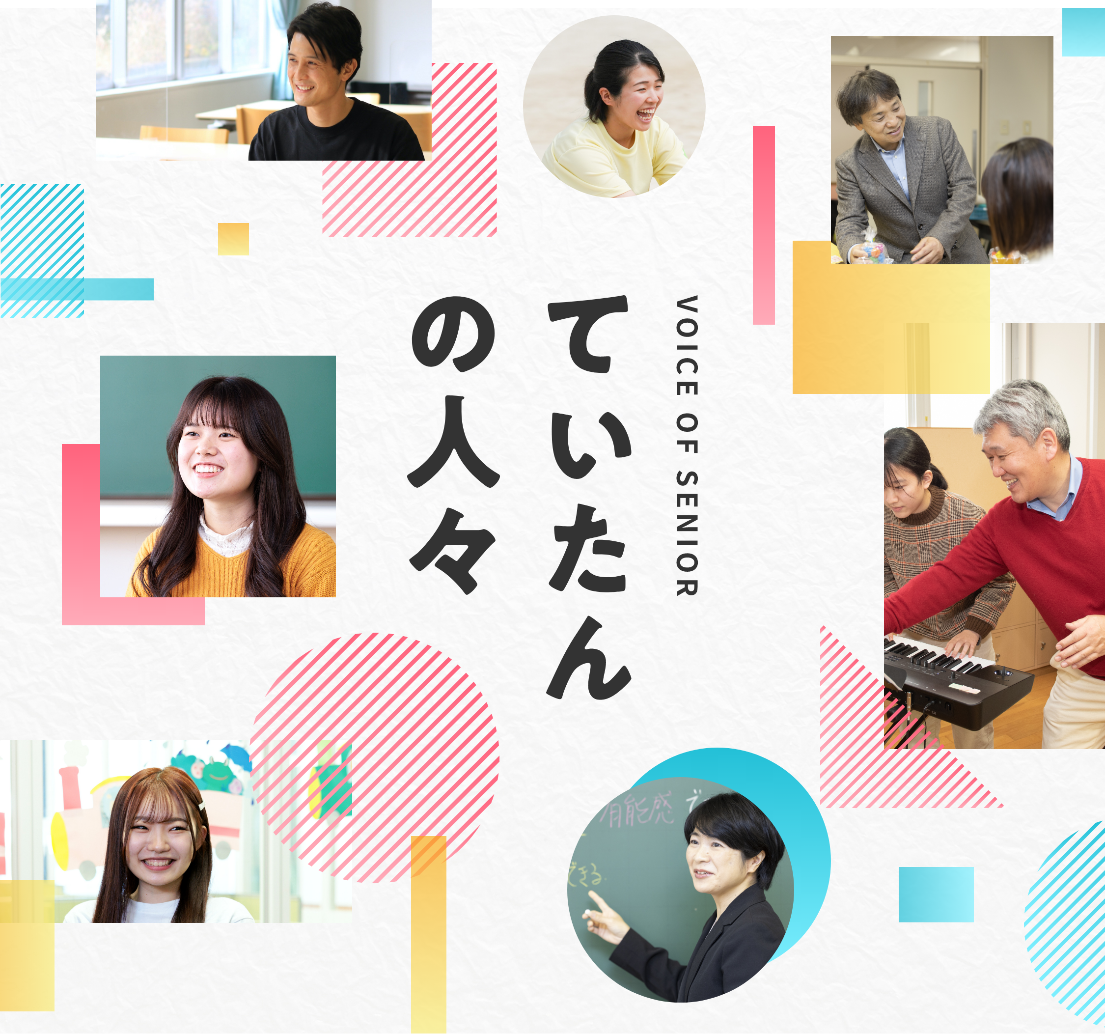 ”ていたんの人々”